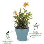 b.for original round 18cm ochre